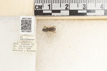 Media type: image;   Entomology 775867 Aspect: Labels